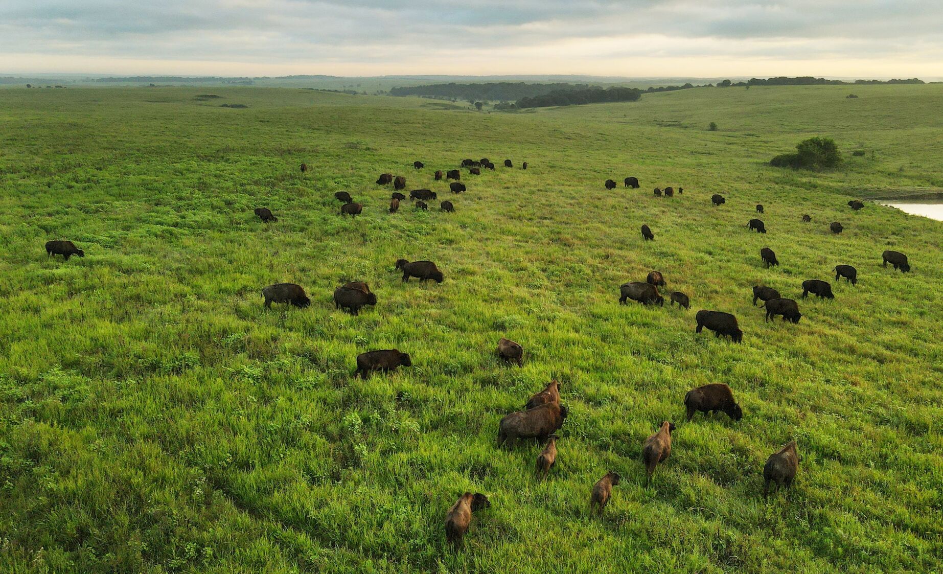6. Tallgrass Prairie Preserve: Largest patch of native tallgrass left on Earth